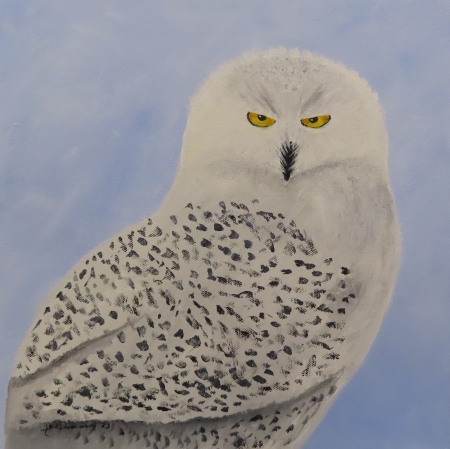 Snowy Owl by artist Jessica Greenwood